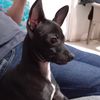 luisyvaldez