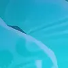 nat24412