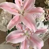 alina.cb97