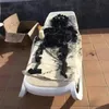 belu falcucci