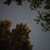 vampirecorpse