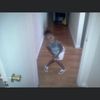 faithlilwrld8