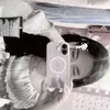 gaileleii