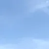 aliciamendzz