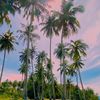 lemba_def