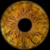 ms.undereyebags