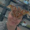 insectarmada
