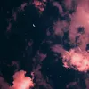 _.daii_