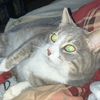 mr.joey12345