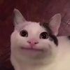 jush_._