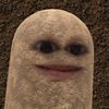 syxbiyy