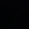 black_daisy6666