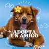adopcioneshmo
