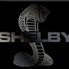 shelby500z