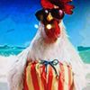 coolchicken69