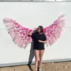 dankoosiaa