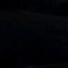 amineayoub11