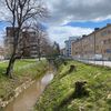 lelav_0402
