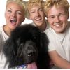theharfinfamily