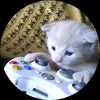 epixese