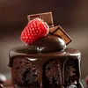laady__dy