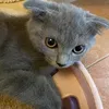 pocketpolly07