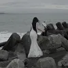 Kana Duong