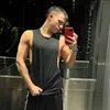 meilan_melo