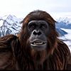 Bigfoottalks