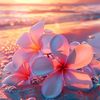 frozan_anwari