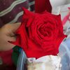gabrielarq2