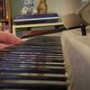 keyboardplayermaine