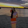 nas_533