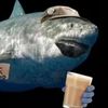 terrythesharks_friend