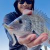 davyfishes