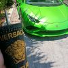 gato_montanez_