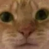user1321349046296