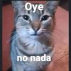 macbenquispe
