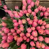mel2710__