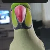 samuelinácio4