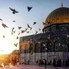 abdullah36123456