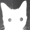 nick04190420