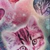 grace_needscat