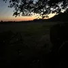 schlaura_42