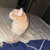 lolgirlypop286