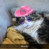 timmy_from_the_block