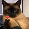 userkariv