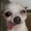 phemxlo