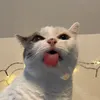 amy_tmlnsn
