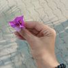 amouna_am0